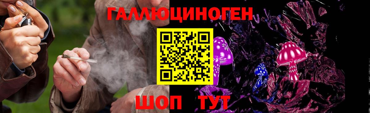 Галлюциногенные грибы Psilocybine cubensis  где купить наркоту  Абакан  Галлюциногенные грибы Magic Shrooms  Вход с VPN 